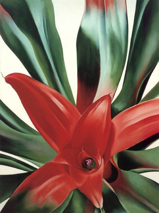 Georgia O'Keeffe Leaves of a Plant Painting - iPaintingsforsale.com