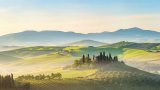 Unknown Artist Tuscani #1 painting
