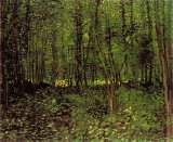 Vincent van Gogh Trees And Undergrowth painting